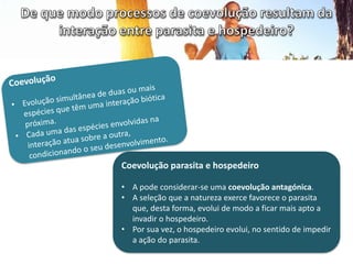 Coevolução parasita e hospedeiro
• A pode considerar-se uma coevolução antagónica.
• A seleção que a natureza exerce favorece o parasita
que, desta forma, evolui de modo a ficar mais apto a
invadir o hospedeiro.
• Por sua vez, o hospedeiro evolui, no sentido de impedir
a ação do parasita.
 