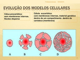 EVOLUÇÃO DOS MODELOS CELULARES
Célua procariótica:
sem membranas internas.
Núcleo disperso
Célula eucariótica:
com membranas internas, material genético
dentro de um compartimento dentro da
carioteca (membrana)
18/03/2015
22
Professora Ionara
 