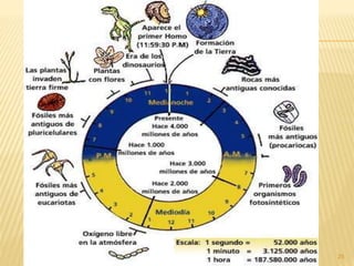 18/03/2015Professora Ionara
25
 