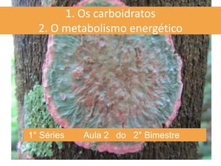 1° Séries Aula 2 do 2° Bimestre
1. Os carboidratos
2. O metabolismo energético
 
