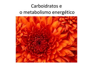 Data da gravação: Professora: Série:
Matéria: Assunto:
02/03 Ionara 1º EM
Biologia Metabolismo e
Estrutura
Celular
Aulas 5 a 8
Carboidratos e
o metabolismo energético
 