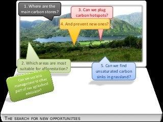 THE SEARCH FOR NEW OPPORTUNITIES
1. Where are the
main carbon stores? 3. Can we plug
carbon hotspots?
2. Which areas are most
suitable for afforestation?
4. And prevent new ones?
5. Can we find
unsaturated carbon
sinks in grassland?