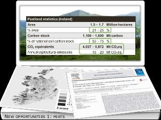 NEW OPPORTUNITIES 1: PEATS