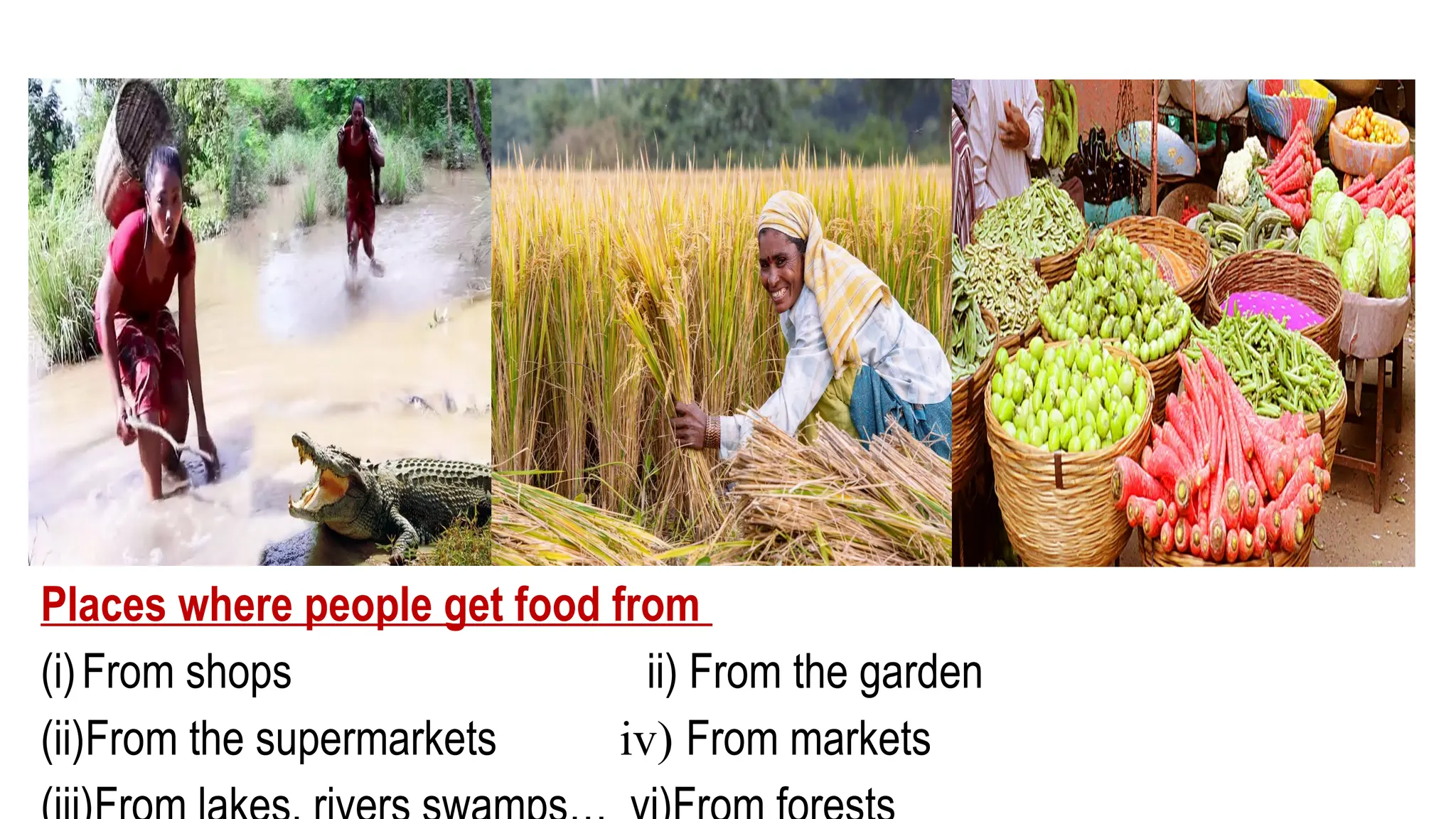 Places where people get food from
(i)From shops ii) From the garden
(ii)From the supermarkets iv) From markets
 