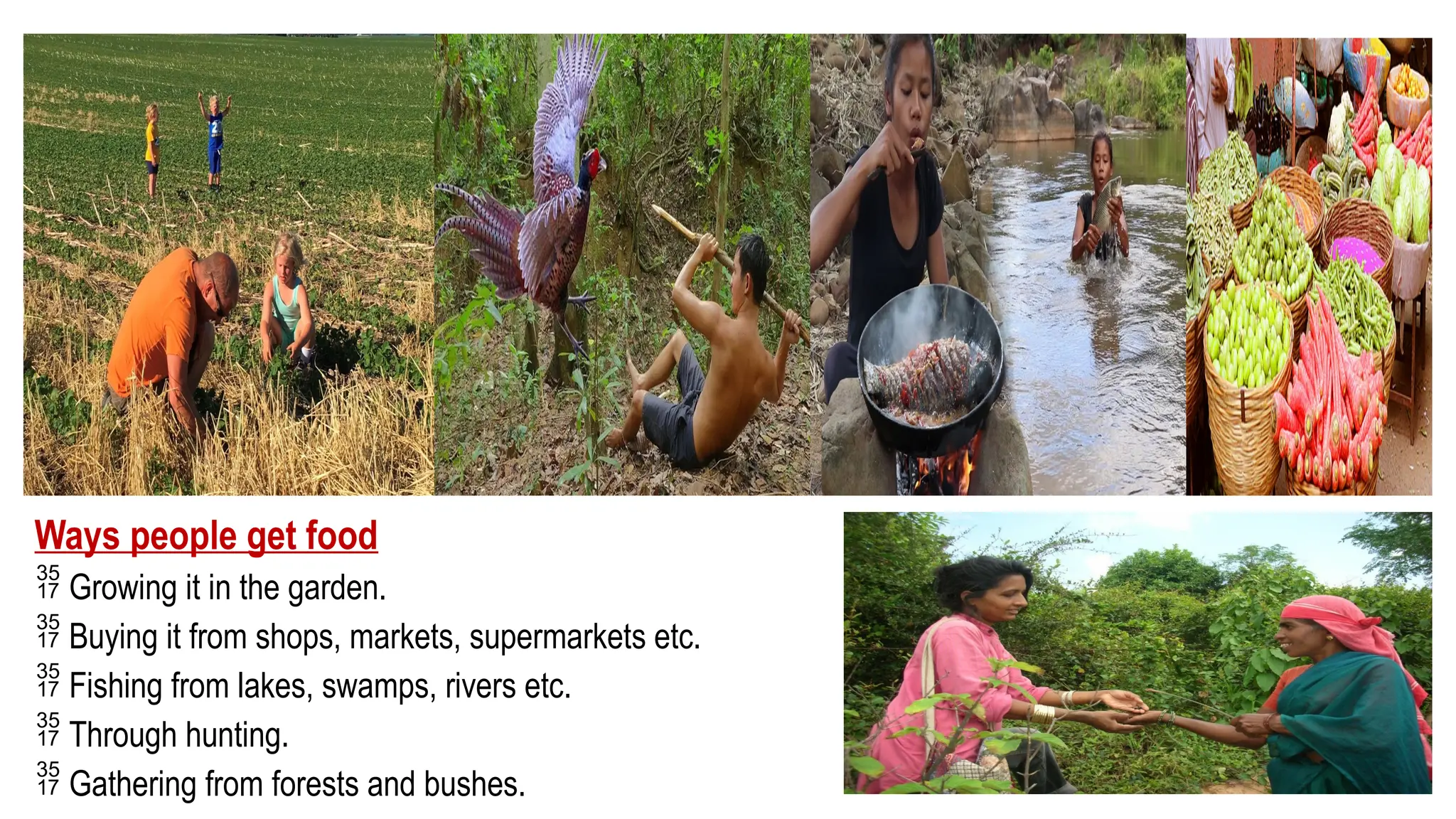 Ways people get food
 Growing it in the garden.
 Buying it from shops, markets, supermarkets etc.
 Fishing from lakes, swamps, rivers etc.
 Through hunting.
 Gathering from forests and bushes.
 