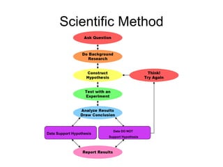 1 Scientific Method Power Point | PPT