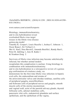 1ScIeNtIFIc REPORTS | (2018) 8:1250 | DOI:10.1038/s41598-
018-19638-x
www.nature.com/scientificreports
Histology, immunohistochemistry,
and in situ hybridization reveal
overlooked Ebola virus target
tissues in the Ebola virus disease
guinea pig model
Timothy K. Cooper1, Louis Huzella 1, Joshua C. Johnson 1,
Oscar Rojas1, Sri Yellayi1,3,
Mei G. Sun2, Sina Bavari2, Amanda Bonilla1, Randy Hart1,
Peter B. Jahrling 1, Jens H. Kuhn 1
& Xiankun Zeng 2
Survivors of Ebola virus infection may become subclinically
infected, but whether animal models
recapitulate this complication is unclear. Using histology in
combination with immunohistochemistry
and in situ hybridization in a retrospective review of a guinea
pig confirmation-of-virulence study, we
demonstrate for the first time Ebola virus infection in hepatic
oval cells, the endocardium and stroma of
the atrioventricular valves and chordae tendinae, satellite cells
of peripheral ganglia, neurofibroblasts
and Schwann cells of peripheral nerves and ganglia, smooth
muscle cells of the uterine myometrium
and vaginal wall, acini of the parotid salivary glands, thyroid
follicular cells, adrenal medullary cells,
pancreatic islet cells, endometrial glandular and surface
epithelium, and the epithelium of the vagina,
 