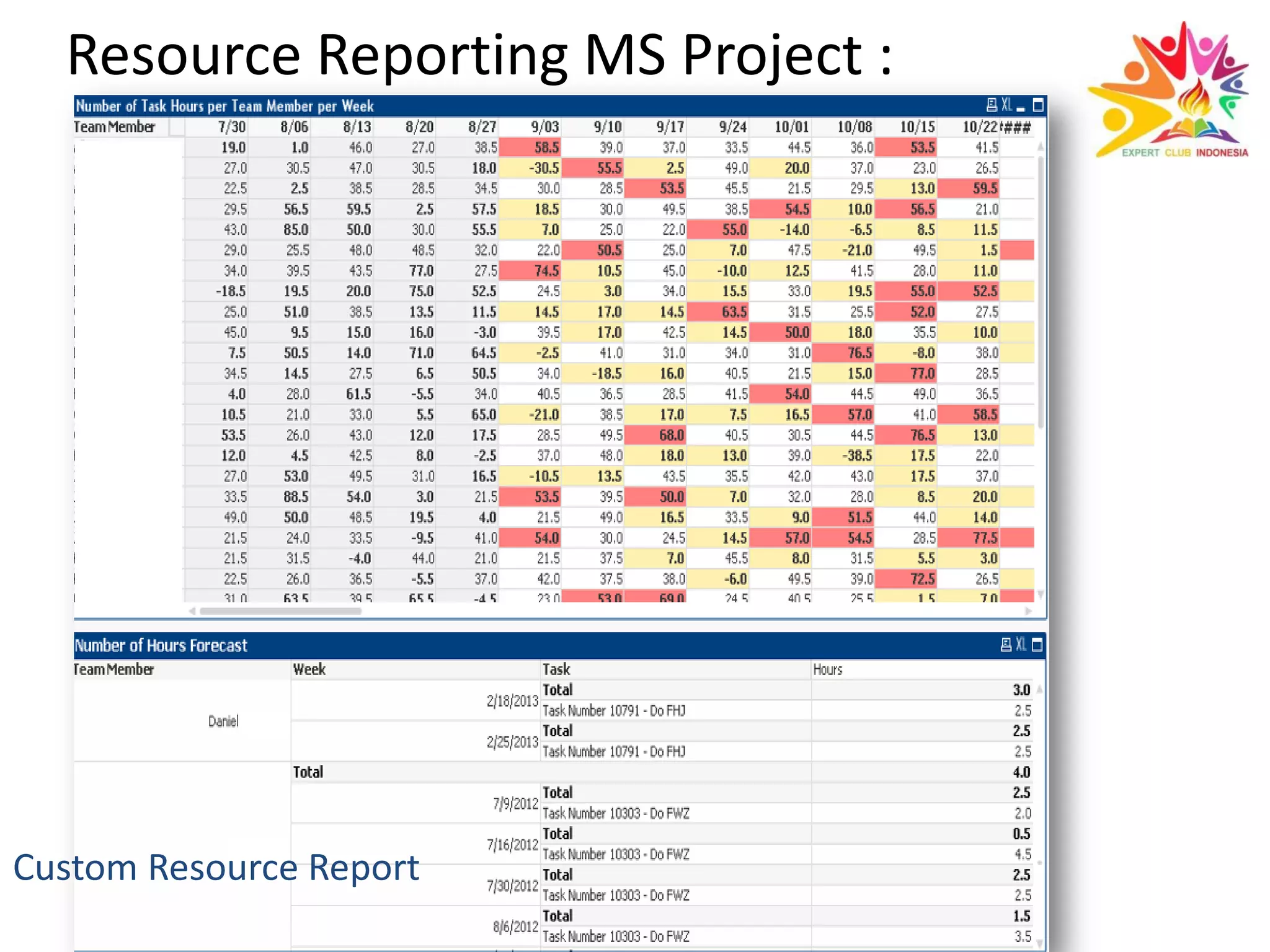 Resource Reporting MS Project :
 