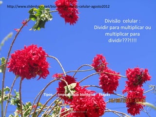 Divisão celular :
Dividir para multiplicar ou
multiplicar para
dividir???!!!!
Tipos Importância biológica Etapas
19/08/2015 Professora Ionara
http://www.slideshare.net/bionara/1s-diviso-celular-agosto2012
 