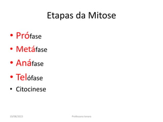19/08/2015 Professora Ionara
Etapas da Mitose
• Prófase
• Metáfase
• Anáfase
• Telófase
• Citocinese
 