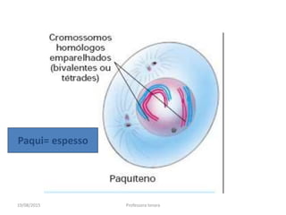 19/08/2015 Professora Ionara
Paqui= espesso
 