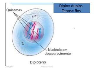 19/08/2015 Professora Ionara
Diplo= duplos
Tenos= fios
 