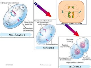 19/08/2015 Professora Ionara
 