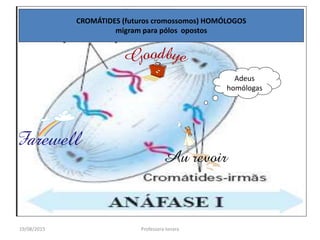 19/08/2015 Professora Ionara
CROMÁTIDES (futuros cromossomos) HOMÓLOGOS
migram para pólos opostos
Adeus
homólogas
 