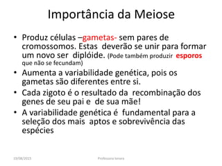 19/08/2015 Professora Ionara
Importância da Meiose
• Produz células –gametas- sem pares de
cromossomos. Estas deverão se unir para formar
um novo ser diplóide. (Pode também produzir esporos
que não se fecundam)
• Aumenta a variabilidade genética, pois os
gametas são diferentes entre si.
• Cada zigoto é o resultado da recombinação dos
genes de seu pai e de sua mãe!
• A variabilidade genética é fundamental para a
seleção dos mais aptos e sobrevivência das
espécies
 