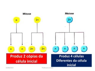 19/08/2015 Professora Ionara
Produz 2 cópias da
célula inicial
Produz 4 células
Diferentes da célula
inicial
 
