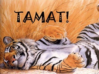 TAMAT!
 