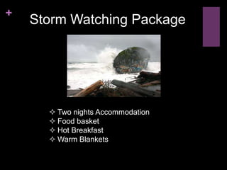 +
    Storm Watching Package




       Two nights Accommodation
       Food basket
       Hot Breakfast
       Warm Blankets
 