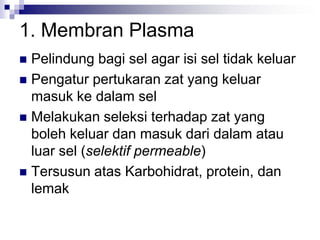 1. Membran Plasma
 Pelindung bagi sel agar isi sel tidak keluar
 Pengatur pertukaran zat yang keluar
masuk ke dalam sel
 Melakukan seleksi terhadap zat yang
boleh keluar dan masuk dari dalam atau
luar sel (selektif permeable)
 Tersusun atas Karbohidrat, protein, dan
lemak
 