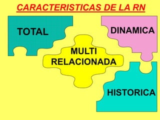 TOTAL DINAMICA
HISTORICA
MULTI
RELACIONADA
CARACTERISTICAS DE LA RN
 