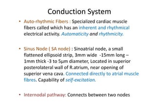 genesis and spreading of cardiac impulses | PDF
