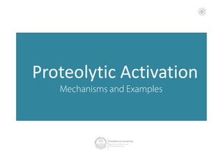 Proteolytic ActivationProteolytic Activation
Mechanisms and Examples
 