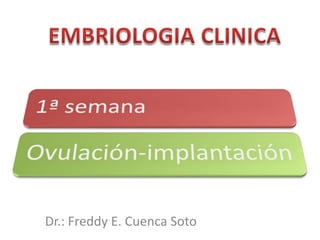 Dr.: Freddy E. Cuenca Soto

 