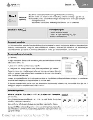 291º Básico, Primer Semestre
Lección • ojo Clase 2
PASO 4. LECTURA CON CARACTERES MANUSCRITOS E IMPRENTA.
(40 minutos)
Los niños/as observan las sílabas ja – je – ji – jo – ju, en la lámina 2b, escritas
con letra imprenta y manuscrita.
Leen en forma colectiva e individual, cambiando el orden de las sílabas.
Luego, identifican palabras del poema u otras que contengan alguna de ellas.
Los niños deben identificar: jirafa (sílaba ji), dijo (sílaba jo), mejorar (sílaba jo)
y jugar (sílaba ju).
Clase 2
2 horas‹
• Establecer la relación entre fonema y grafema de la consonante j.
• Escribir sílabas con la consonante en estudio y palabras como ojo - ajo - eje - ají.
• Comprender poema aplicando estrategias de comprensión lectora; por ejemplo:
- hacer predicciones.
- describir las ilustraciones del texto y relacionarlas con su contenido.
(10 minutos)
Luego, el docente introduce el poema La jirafa resfriada. Los estudiantes
observan la lámina 2a:
•	 ¿Qué creen ustedes que le sucede a la jirafa?
•	 ¿Qué pistas nos entrega la ilustración para comprender lo que sucede?
Posteriormente, los estudiantes escucharn el poema mientras el docente
utiliza el puntero para reforzar la correspondencia término a término y la
direccionalidad de la lectura.
Una vez terminada la lectura, el docente guía una conversación relacionando las predicciones hechas por los estudiantes
antes de la lectura y lo que comprobaron al escuchar el texto.
El docente explica que las ilustraciones que acompañan al texto sirven para anticipar el contenido de lo que van a
leer y para apoyarsu comprensión durante la lectura.
1º Básico, Primer Semestre
Lámina Material exclusivo para enseñanzaLección ojo - Clase 22a
Una jirafa resfriada
Carmen Lavanchy
Una jirafa estornudó
ay! pobrecita se resfrió
dijo su madre cuídate
una bufanda amárrate,
dijo su madre cuídate
una bufanda amárrate.
Vino a verla un doctor
para quitarle su dolor
y pronto ella pudo mejorar
con sus amigas fue a jugar.
2a
1º Básico, Primer Semestre
Lámina Material exclusivo para enseñanzaLección ojo - Clase 22b
ja je ji jo ju
2b
Práctica independiente
Preparando aprendizaje
Presentando la nueva información
Recursos pedagógicos
•	 Lámina 2a Lajirafaresfriada.
•	 Lámina 2b Tarjetas sílabas ja je ji jo ju.
•	 Material Complementario.
Libro Método Matte
Los estudiantes leen la palabra“ojo”en el deslizógrafo, realizando el análisis y síntesis de la palabra, tanto en forma
colectiva como individual. Enseguida, mencionan lugares, nombres y animales que comiencen con el fonema j. El
docente comenta que leerán un poema que habla de un animal que ellos nombraron. (10 minutos)
Objetivos de
aprendizaje
Derechos reservados Aptus Chile
 