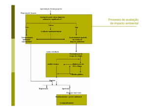 Processo de avaliação
de impacto ambiental
 
