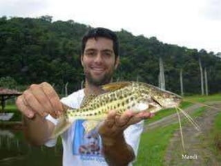 Tucunaré
Amarelo
Mandi
Mandi
 