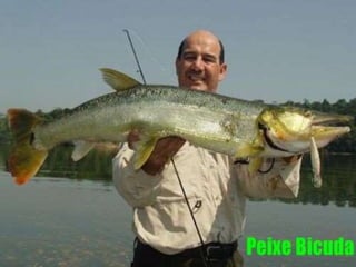 Seminário de Psicultura