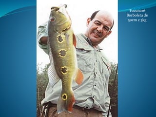 Tucunaré
Borboleta de
50cm e 3kg
 