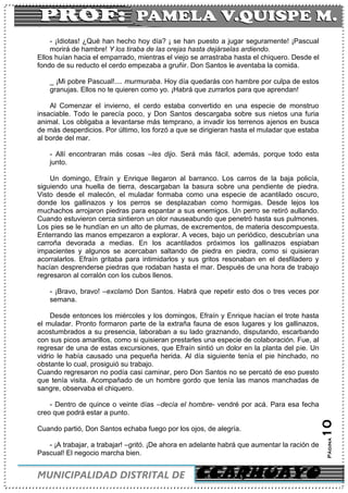 C
MUNICIPALIDAD DISTRITAL DE CCARHUAYO
Página10
- ¡Idiotas! ¿Qué han hecho hoy día? ¡ se han puesto a jugar seguramente! ¡Pascual
morirá de hambre! Y los tiraba de las orejas hasta dejárselas ardiendo.
Ellos huían hacia el emparrado, mientras el viejo se arrastraba hasta el chiquero. Desde el
fondo de su reducto el cerdo empezaba a gruñir. Don Santos le aventaba la comida.
_ ¡Mi pobre Pascual!.... murmuraba. Hoy día quedarás con hambre por culpa de estos
granujas. Ellos no te quieren como yo. ¡Habrá que zurrarlos para que aprendan!
Al Comenzar el invierno, el cerdo estaba convertido en una especie de monstruo
insaciable. Todo le parecía poco, y Don Santos descargaba sobre sus nietos una furia
animal. Los obligaba a levantarse más temprano, a invadir los terrenos ajenos en busca
de más desperdicios. Por último, los forzó a que se dirigieran hasta el muladar que estaba
al borde del mar.
- Allí encontraran más cosas –les dijo. Será más fácil, además, porque todo esta
junto.
Un domingo, Efraín y Enrique llegaron al barranco. Los carros de la baja policía,
siguiendo una huella de tierra, descargaban la basura sobre una pendiente de piedra.
Visto desde el malecón, el muladar formaba como una especie de acantilado oscuro,
donde los gallinazos y los perros se desplazaban como hormigas. Desde lejos los
muchachos arrojaron piedras para espantar a sus enemigos. Un perro se retiró aullando.
Cuando estuvieron cerca sintieron un olor nauseabundo que penetró hasta sus pulmones.
Los pies se le hundían en un alto de plumas, de excrementos, de materia descompuesta.
Enterrando las manos empezaron a explorar. A veces, bajo un periódico, descubrían una
carroña devorada a medias. En los acantilados próximos los gallinazos espiaban
impacientes y algunos se acercaban saltando de piedra en piedra, como si quisieran
acorralarlos. Efraín gritaba para intimidarlos y sus gritos resonaban en el desfiladero y
hacían desprenderse piedras que rodaban hasta el mar. Después de una hora de trabajo
regresaron al corralón con los cubos llenos.
- ¡Bravo, bravo! –exclamó Don Santos. Habrá que repetir esto dos o tres veces por
semana.
Desde entonces los miércoles y los domingos, Efraín y Enrique hacían el trote hasta
el muladar. Pronto formaron parte de la extraña fauna de esos lugares y los gallinazos,
acostumbrados a su presencia, laboraban a su lado graznando, disputando, escarbando
con sus picos amarillos, como si quisieran prestarles una especie de colaboración. Fue, al
regresar de una de estas excursiones, que Efraín sintió un dolor en la planta del pie. Un
vidrio le había causado una pequeña herida. Al día siguiente tenía el pie hinchado, no
obstante lo cual, prosiguió su trabajo.
Cuando regresaron no podía casi caminar, pero Don Santos no se percató de eso puesto
que tenía visita. Acompañado de un hombre gordo que tenía las manos manchadas de
sangre, observaba el chiquero.
- Dentro de quince o veinte días –decía el hombre- vendré por acá. Para esa fecha
creo que podrá estar a punto.
Cuando partió, Don Santos echaba fuego por los ojos, de alegría.
- ¡A trabajar, a trabajar! –gritó. ¡De ahora en adelante habrá que aumentar la ración de
Pascual! El negocio marcha bien.
 