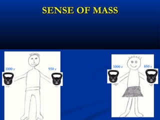 SENSE OF MASSSENSE OF MASS
1000 г 950 г
1000 г 850 г
 