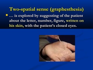 Two-spatial sense (gTwo-spatial sense (graphesthesia)raphesthesia)
 …… is explored by suggesting of the patientis explored by suggesting of the patient
aboutabout the letter, number, figure,the letter, number, figure, written onwritten on
his skin,his skin, with the patient’s closed eyes.with the patient’s closed eyes.
 