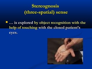 StereognosisStereognosis
(three-spatial) sense(three-spatial) sense
 …… is exploredis explored by object recognition with theby object recognition with the
help of touchinghelp of touching with the closed patient’swith the closed patient’s
eyes.eyes.
 