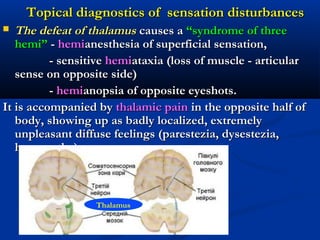 Topical diagnostics of sensation disturbancesTopical diagnostics of sensation disturbances
 The defeat of thalamusThe defeat of thalamus causes acauses a “syndrome of three“syndrome of three
hemi”hemi” -- hemihemianesthesia of superficial sensation,anesthesia of superficial sensation,
- sensitive- sensitive hemihemiataxia (loss of muscle - articularataxia (loss of muscle - articular
sense on opposite side)sense on opposite side)
-- hemihemianopsia of opposite eyeshots.anopsia of opposite eyeshots.
It is accompanied byIt is accompanied by thalamic painthalamic pain in the opposite half ofin the opposite half of
body, showing up as badly localized, extremelybody, showing up as badly localized, extremely
unpleasant diffuse feelings (parestezia, dysestezia,unpleasant diffuse feelings (parestezia, dysestezia,
hyperpathy).hyperpathy).
Thalamus
 