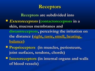ReceptorsReceptors
ReceptorsReceptors are subdivided intoare subdivided into
 ExteroreceptorsExteroreceptors ((contactoreceptorscontactoreceptors in ain a
skin, mucous membranes andskin, mucous membranes and
distantreceptorsdistantreceptors, perceiving the irritation on, perceiving the irritation on
the distance (the distance (sightsight,, tastetaste,, smellsmell,, hearinghearing,,
balancebalance))
 ProprioceptersPropriocepters (in muscles, periosteum,(in muscles, periosteum,
joint surfaces, tendons, chords)joint surfaces, tendons, chords)
 InteroreceptorsInteroreceptors (in internal organs and walls(in internal organs and walls
of blood vessels)of blood vessels)
 