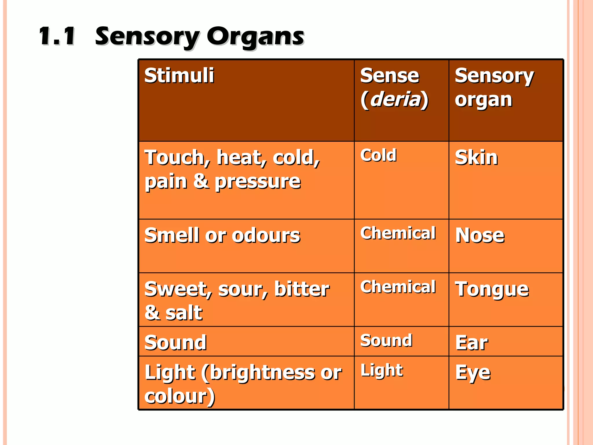 SENSES | PPT