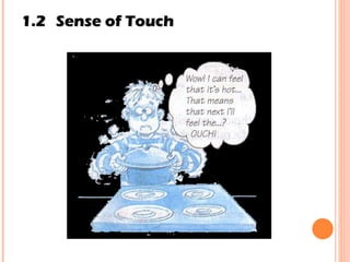 1.2 Sense of Touch 
