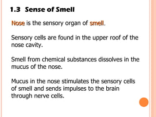 1.3 Sense of Smell Nose   is the sensory organ of   smell . Sensory cells are found in the upper roof of the nose cavity.  Smell from chemical substances dissolves in the mucus of the nose. Mucus in the nose stimulates the sensory cells of smell and sends impulses to the brain through nerve cells. 