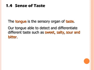 1.4 Sense of Taste The  tongue  is the sensory organ of  taste . Our tongue able to detect and differentiate different taste such as  sweet,   salty,   sour and   bitter. 