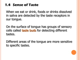 1.4 Sense of Taste When we eat or drink, foods or drinks dissolved in saliva are detected by the taste receptors in our tongue. On the surface of tongue has groups of sensory cells called  taste buds  for detecting different tastes.  Different areas of the tongue are more sensitive to specific tastes.  