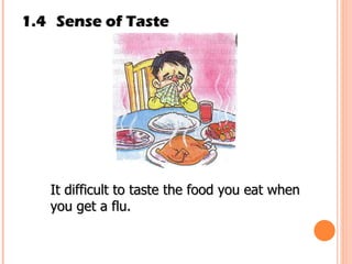 1.4 Sense of Taste It difficult to taste the food you eat when you get a flu. 