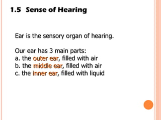 1.5 Sense of Hearing Ear is the sensory organ of hearing.  Our ear has 3 main parts: a. the  outer ear , filled with air b. the  middle ear , filled with air c. the  inner ear , filled with liquid 