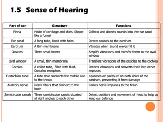 1.5 Sense of Hearing Part of ear Structure Functions Pinna  Made of cartilage and skins. Shape like a funnel Collects and directs sounds into the ear canal Ear canal A long tube, lined with hairs  Directs sounds to the eardrum Eardrum  A thin membrane Vibrates when sound waves hit it Ossicles  Three small bones  Amplify vibrations and transfer them to the oval window Oval window A small, thin membrane Transfers vibrations of the ossicles to the cochlea Cochlea  A coiled tube, filled with fluid. Contains receptors Detects vibrations and converts then into nerve impluses Eustachian tube  A tube that connects the middle ear to the throat Equalises air pressure on both sides of the eardrum, preventing it from damage Auditory nerve Nerve fibers that connect to the brain Cariies nerve impulses to the brain Semicircular canals Three semicircular canals situated at right angles to each other  Detect position and movement of head to help us keep our balance 