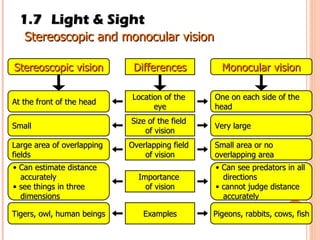 1.7 Light & Sight Stereoscopic and monocular vision  Stereoscopic vision Monocular vision Location of the  eye Differences Size of the field  of vision Overlapping field  of vision Importance  of vision Examples At the front of the head Small Large area of overlapping  fields Can estimate distance  accurately see things in three  dimensions Tigers, owl, human beings One on each side of the  head Very large Small area or no  overlapping area Can see predators in all directions cannot judge distance  accurately Pigeons, rabbits, cows, fish 
