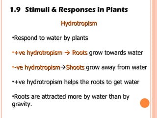 1.9 Stimuli & Responses in Plants Hydrotropism   Respond to water by plants +ve hydrotropism    Roots  grow towards water -ve hydrotropism  Shoots  grow away from water +ve hydrotropism helps the roots to get water Roots are attracted more by water than by gravity.  