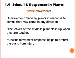 1.9 Stimuli & Responses in Plants Nastic movements A movement made by plants in response to stimuli that may come in any direction The leaves of the  mimosa  plant close up when they are touched A nastic movement response helps to protect the plant from injury 