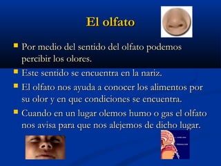 El olfato







Por medio del sentido del olfato podemos
percibir los olores.
Este sentido se encuentra en la nariz.
El olfato nos ayuda a conocer los alimentos por
su olor y en que condiciones se encuentra.
Cuando en un lugar olemos humo o gas el olfato
nos avisa para que nos alejemos de dicho lugar.

 